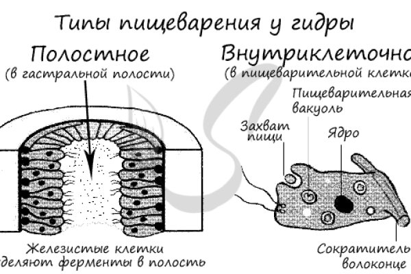 Кракен 2kraken biz