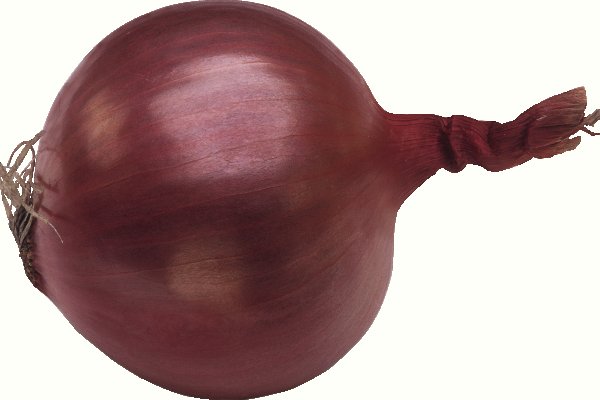 Kraken istand onion