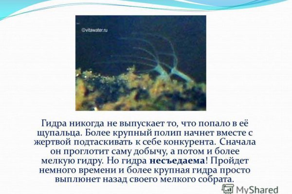 Реальный сайт крамп kraken ssylka onion