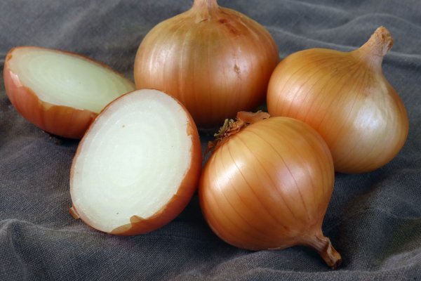 Сайт кракен проверенный onion top