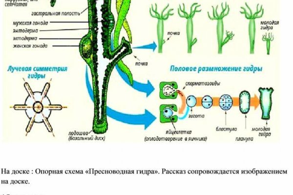 Кракен дарк площадка