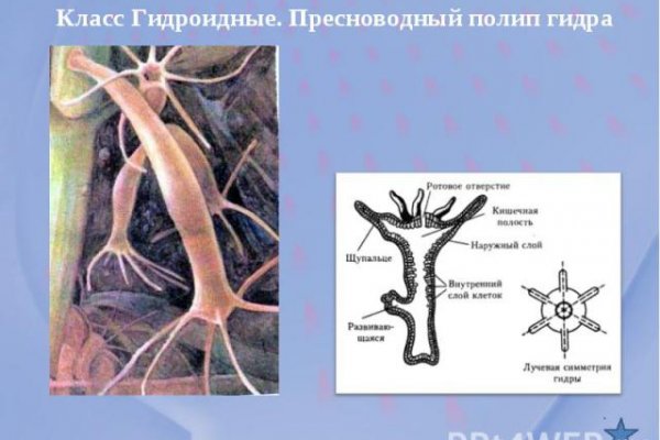 Телеграм канал кракен
